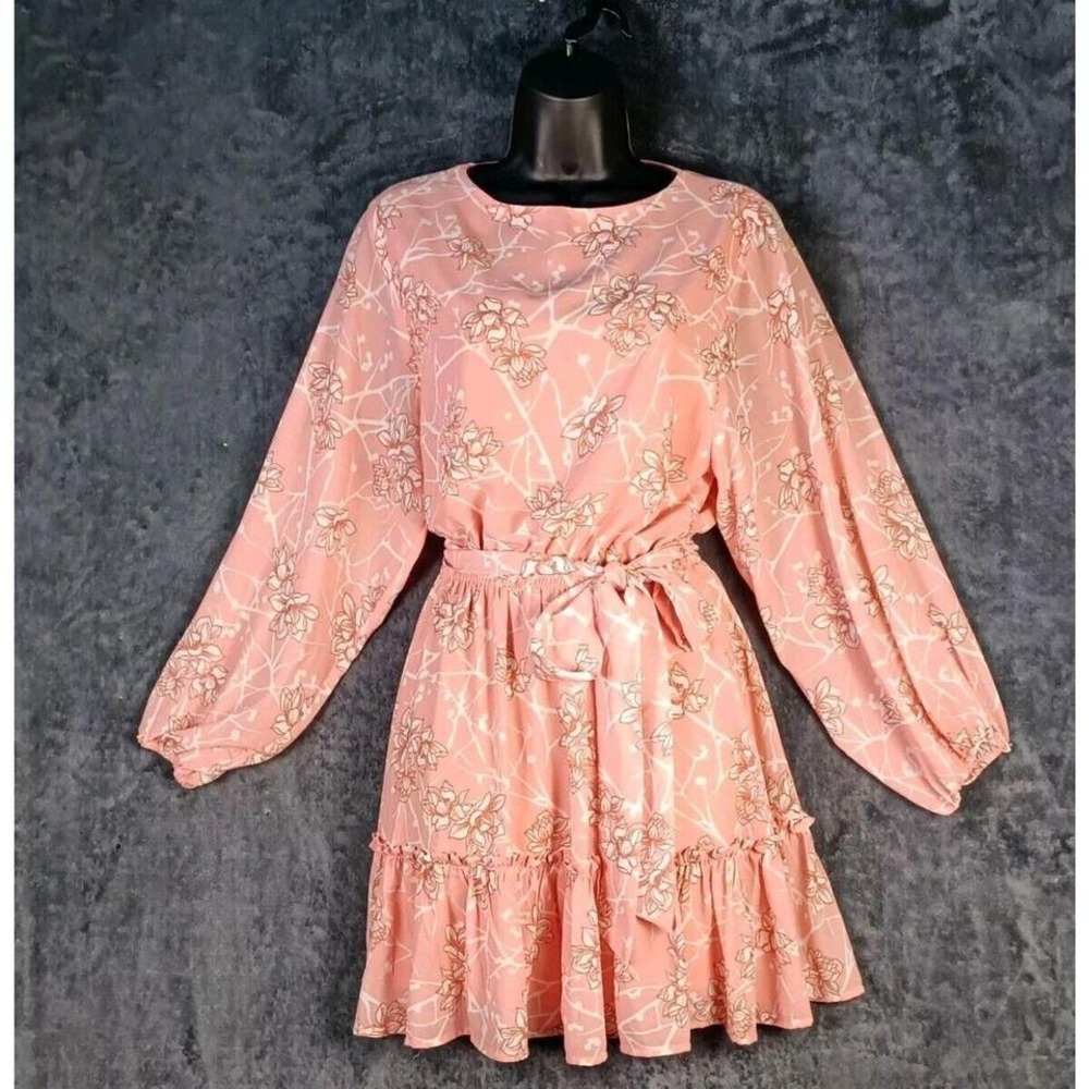 Flying Tomato Mini Dress Size Small Pink Floral Long Sleeve Ruffle Pastel